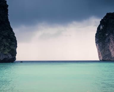 Mindful Wellness Journey