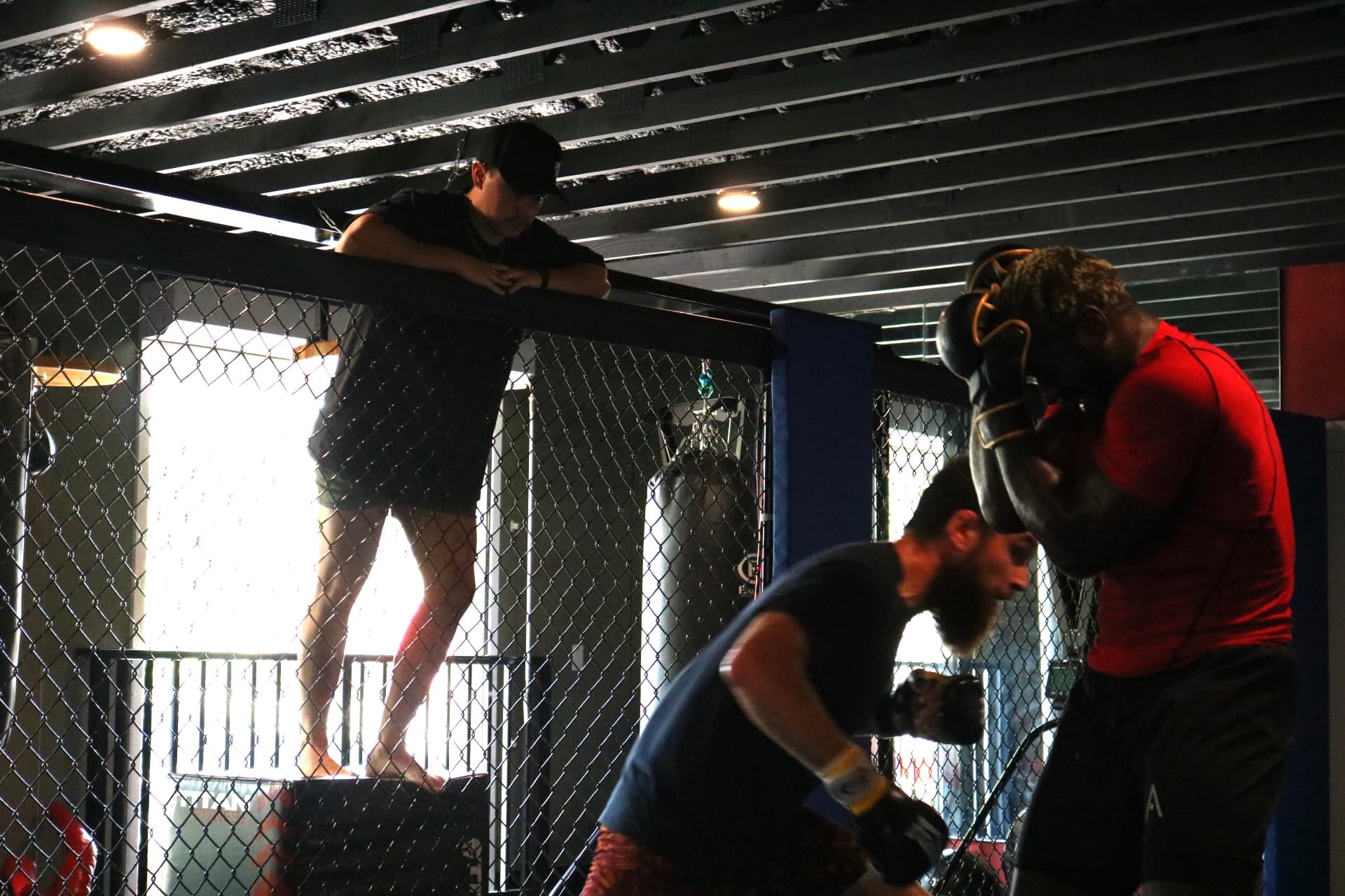 ColbyJacked Training